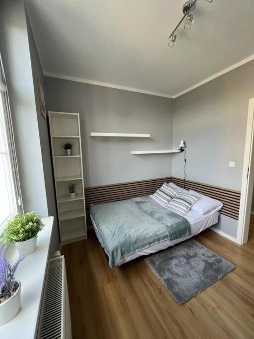 Apartament Walenty Kraków Zewnętrze zdjęcie